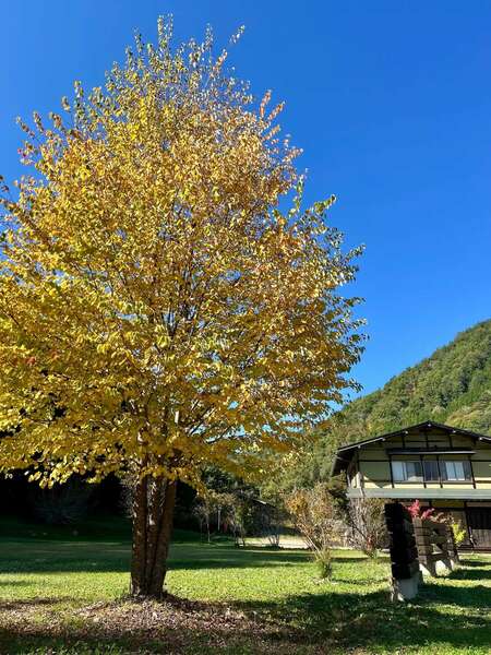 高山D邸(岐阜県) | 【まるっと貸切専用】四季の移ろいに包まれ、囲炉裏
