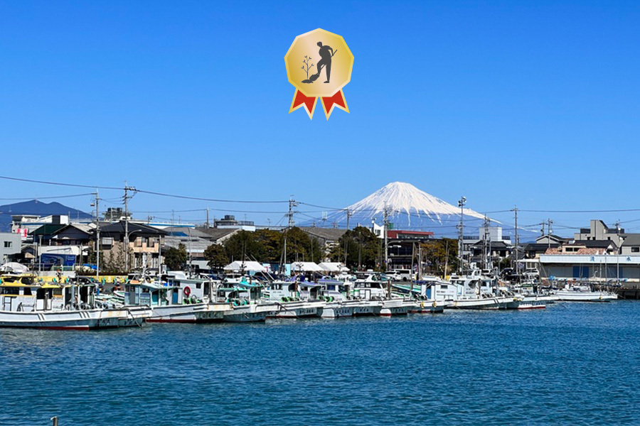 静岡用宗B邸の写真