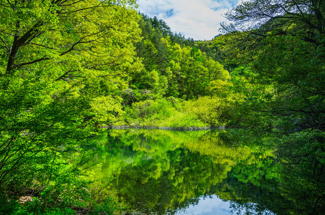 塩尻A邸の写真